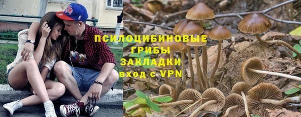 мескалин Арсеньев