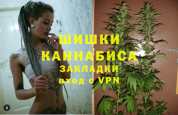 мескалин Арсеньев