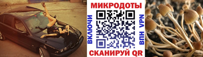 Галлюциногенные грибы мухоморы  Кинель 